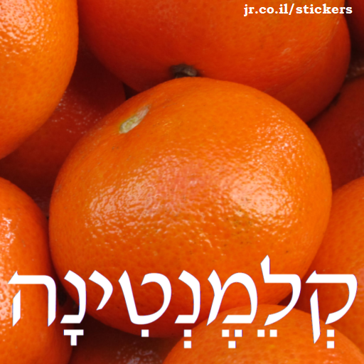 clementines in Hebrew