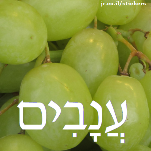 grapes in Hebrew