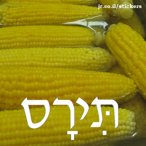 corn in Hebrew