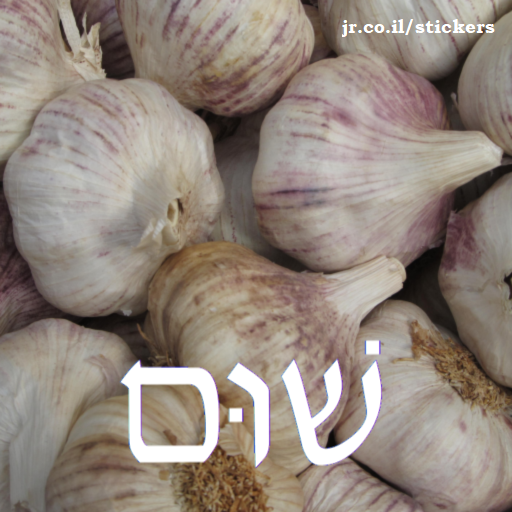 garlic in Hebrew