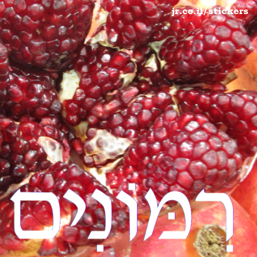 pomegrantes in Hebrew