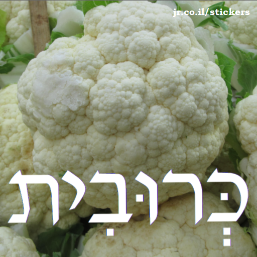 cauliflower in Hebrew