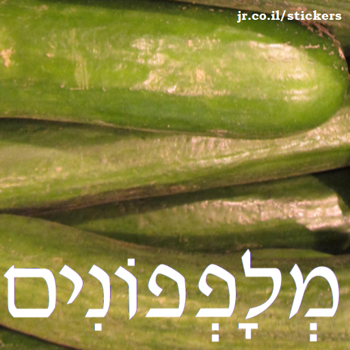 cucumbers in Hebrew