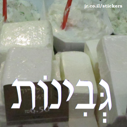 cheese in Hebrew